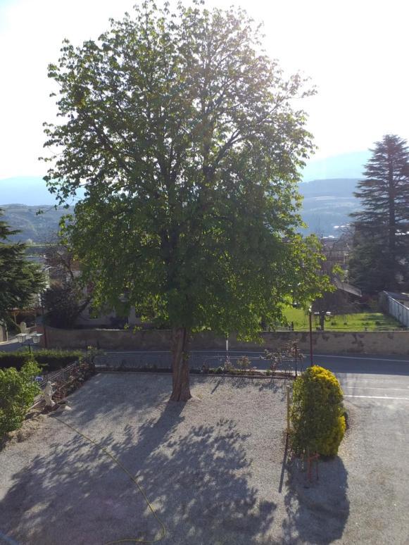 Hotel Villa Mayr Rooms & Suites Bresanona Exterior foto